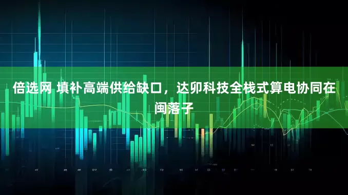 倍选网 填补高端供给缺口，达卯科技全栈式算电协同在闽落子